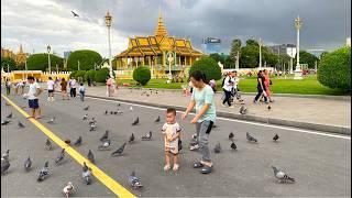 Pigeon Paradise Feeding Birds at the Royal Palace Phnom Penh