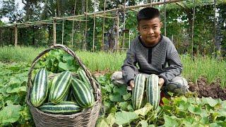  Big cucumber recipes  The country chef harvest cucumber and cooking - Chef Seyhak