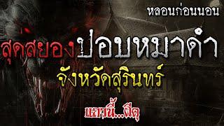 เรื่องเล่าผี ผีปอบหมาดำ ที่จังหวัดสุรินทร์ หลอนก่อนนอน โดย แถวนี้ผีดุ EP. 314