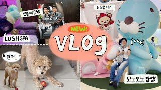 이 영상을 보면 당신은 유행 백수저입니다? 유행하고 새로운 것만 잔뜩 해버리는 자취생 vlog  러쉬스파흑백요리사 유니클로커스텀티 보노보노팝업하츄핑랜덤스웨덴젤리