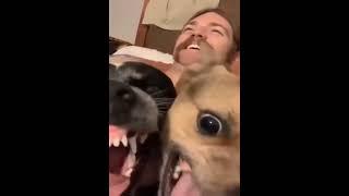 TRY NOT TO Laugh  memes video Compilation February 2024  Will make you laugh hard 
