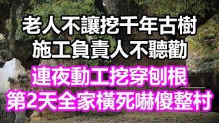 老人不讓挖千年古樹，施工負責人不聽勸，連夜動工挖穿刨根，第2天全家橫死整村傻眼#淺談人生#民間故事#為人處世#生活經驗#情感故事#養老#花開富貴#深夜淺讀#幸福人生#中年#老年