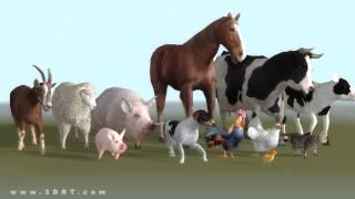 Animals domestic 3d animated models pack