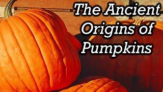 The Surprising History of Pumpkins