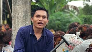 Trailer Documentary of TUKANG BRONDOL  Serpihan dolar di balik brondolan sawit Riau