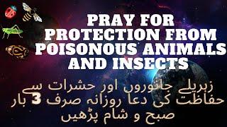 Dua for Protection from Poisonous Animals and Insects