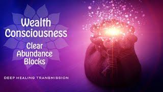 Wealth Consciousness Divine I AM Transmission - Guided Healing  Raising Your Vibration