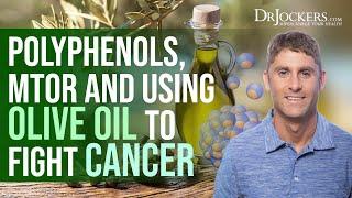 mTOR Polyphenols and Using Olive Oil to Fight Cancer with Dr. Limor Goren