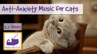 Anti-Anxiety Music for Cats and Kittens Soothe your Cat with our Relaxation Music  #ANXIETY05