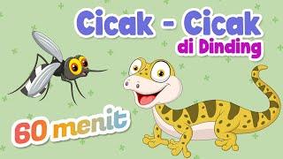 Cicak cicak di dinding 1 jam -  Oli Ola Kids