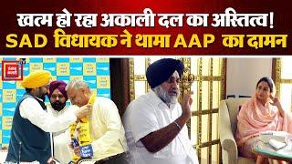 Punjab में खत्म होता SAD का अस्तित्व MLA Sukhwinder Sukhi ने थामा AAP का दामन  Punjab Politics