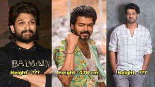 Height Of Famous South Indian Actors 2024