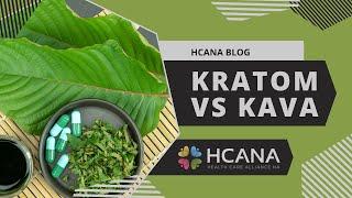 HCANA Blog Kratom Vs Kava