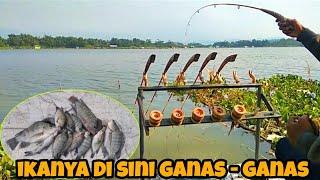 sambaran ikan nila nya cantik cantik - blesseng fishing saguling