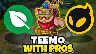 A Teemo One Trick Impressing The Pros