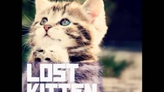 K Flay - Lost Kitten Metric Cover