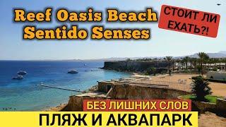 Египет 2022. Reef Oasis Beach. ЛУЧШАЯ БУХТА ШАРМА. Аквапарк и пляж.  Шарм Эль Шейх.