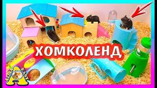 ДЕНЬ РОЖДЕНИЯ ХОМЯЧАТ  ПОДАРКИ ДЛЯ ХОМКИ  Alisa Easy Pets