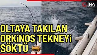 İzmir’de Oltaya Takılan Orkinos 100 Bin Liralık Oltayı Götürdü