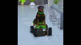 GTA V FRANKLIN DOG CHOP GOT NEW TOY CAR 2 #shorts  Maheshwar Gamerz