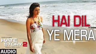 Hai Dil Ye Mera  Full Audio Song  Arijit Singh  Hate Story 2