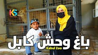 گزارش ویژه نیلوفر از باغ  وحش کابل  Kabul Zoo