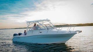 Century Boats  30 Express  Walk Around Boats  Outboard Cruiser