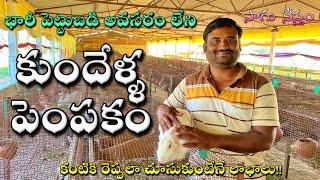 Rabbit farming in Telugu  కుందేలు  కుందేళ్ళ పెంపకం  Rabbit Raising  Hedge Lucern  Sagu Nestham