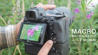 MACRO PHOTOGRAPHY with NIKON Z MC 105mm  Bts best light tripod vs handheld photography