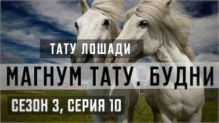 «Магнум тату. Будни» - Тату лошади Сезон 3 серия 10