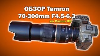 Обзор Tamron DI SP 70-300mm F4-5.6 VC USD на Canon EOS R5