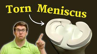 Meniscus Injury Management The Ultimate Guide for Combat Athletes