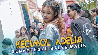 KECIMOL ADELIA LIVE PERSIL KARANG SIDEMEN  PART 2 SEMAMEKU BALEK MALIK