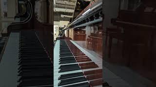 Petrof Baby Grand Piano Polished Mahogany #525097 #pianosolo #concert #bösendorfer