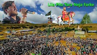 લીલા પીળા તારા નેજા ફરકે  Lila Pila Tara Neja Farke  Milan Kakadiya 