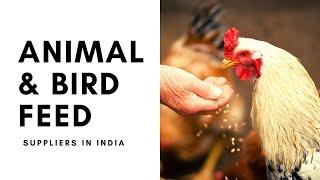 Animal & Chicken Feed. Animal Feed Cattle Feed Poultry Fish Feed Suppliers in India.