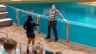 Tom The Famous Seaworld Mime  Tom the Mime