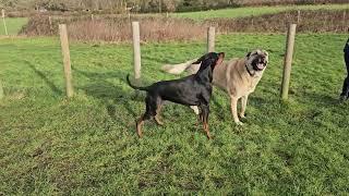 Aslan and Neela Sunday Morning Meet UP