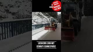 Stark im Winter Liebherr L506 mit Cerruti