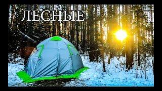 SECRETS OF THE WARM TENT  HEATING TENT  LIFE IN A TENT FROM A TO Z