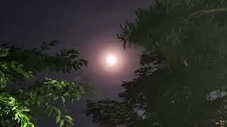 Beethoven Piano Sonata No. 14 in C sharp minor Op. 27-2 Moon Light  I. Adagio sostenuto