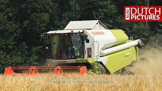 Gerste Dreschen mit Claas Tucano 430 APS in der Nähe von Beverungen  Gerstoogst  Barley harvest