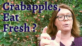 What the perfect edible apple tree?.......