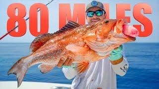 Catching HUGE Fish 80 Miles Offshore Panama City