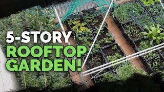 5 Story Rooftop Gardening in Spain Full Tour