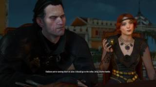 The Witcher 3 Blood and Wine - The Man From Cintra Orianna Dettlaff Henrietta & Regis Table Chat