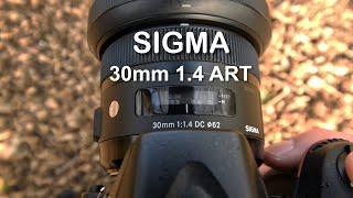 The Cheapest Sigma ART Lens - 30mm 1.4 ART