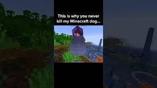 Minecraft Dog Moment 2