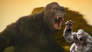 Legendary Kong vs. George