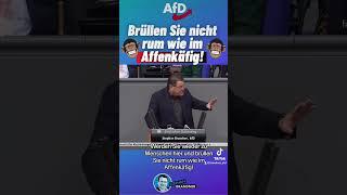 Brüllen Sie nicht rum wie im #AFFENKÄFIG #stephanbrandner #afd